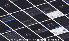 将Pig代币存入TP钱包是否明智？